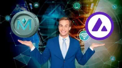 MetaBrands Expands Its Reach to Avalanche Ecosystem