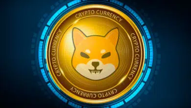 Shiba Inu: All About Its History, How to Buy and Future of Coin
