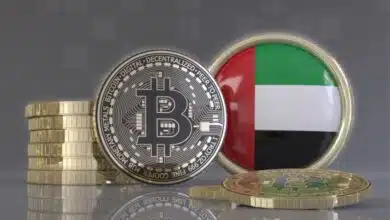 Crypto Exchanges Driving the Growth of Blockchain Infrastructure in UAE