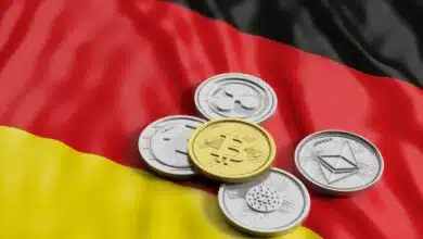 An overview of the present condition of the cryptocurrency market in Germany, highlighting its size, trends, and potential for growth