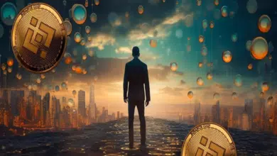 Binance millionaire predicts BNB rival to rally another 390%; meme investors watch closely