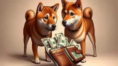 Dogecoin faces competition for top DOGE; new cryptocurrency priced $0.0018 rivals meme