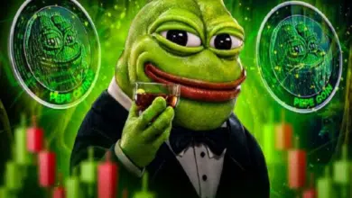 New Pepe (PEPE) competitor predicted tier 1 listing in 2024, Pepecoin investing strategies