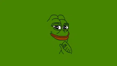 Pepe (PEPE) multi-millionaire purchases new $0.0181 AI exchange token Option2Trade (O2T)
