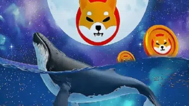 Shiba Inu (SHIB) price surge attracts whales to two Shiba Inu (SHIB) rivals