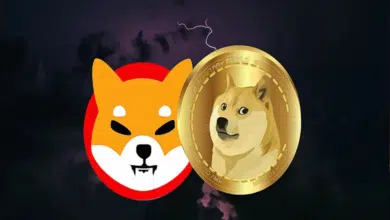 Top analyst predict new SHIB to out pump Shiba Inu in bull run