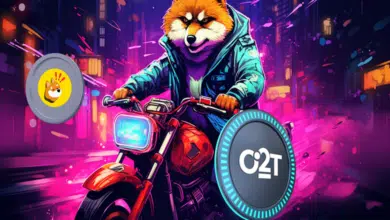 BONK coinmarketcap 66th position under attack from 'Social-Fi' crypto O2T