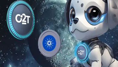 Cardano billionaire invests in new AI 'Social Trading' exchange token to grow portfolio 1000x after BTC halving