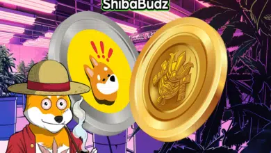 Exploring the unpredictable world of BONK and 100x meme coins