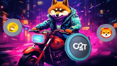 How to turn $2500 into $250k by adding O2T and BONK into your portfolio