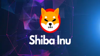 Market experts predict new Shiba Inu competitor to profit more than SHIB