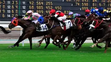 BetMakers & Bet365 Launch Fixed-Odds Racing in New Jersey and Colorado