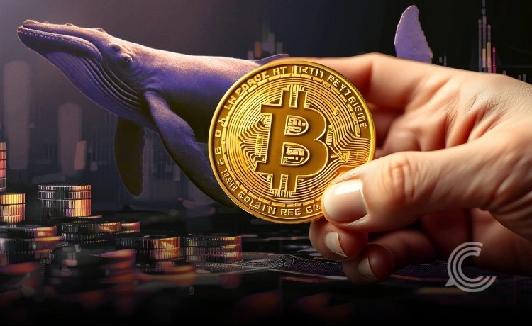 Bitcoin Price Analysis