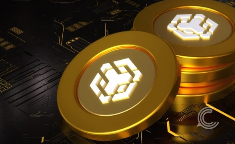 BNB Outperforms BlackRock in Market Capitalization