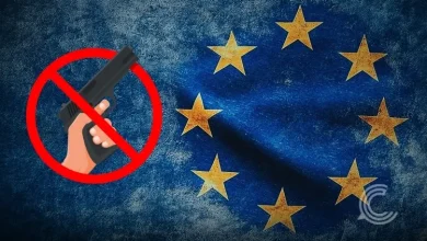 EU Warns Digital Platforms to Block Porn & Weapons Amid Shein Backlash