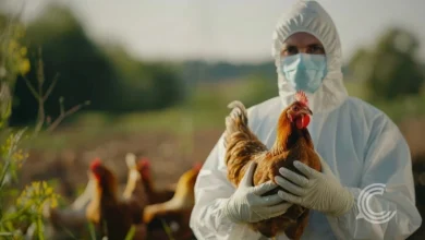 Early Bird Flu Wave Sweeps Europe, North America
