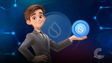 SUI USDsui-Stablecoin