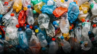Global Plastic Output Set to Rise 52% as Waste Systems Fall Behind