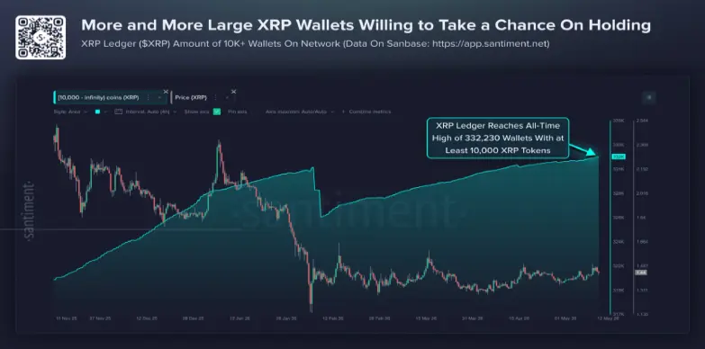 XRP Whale buying